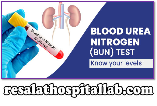 تفسیر آزمایش BUN | تفسیر آزمایش نیتروژن اوره خون